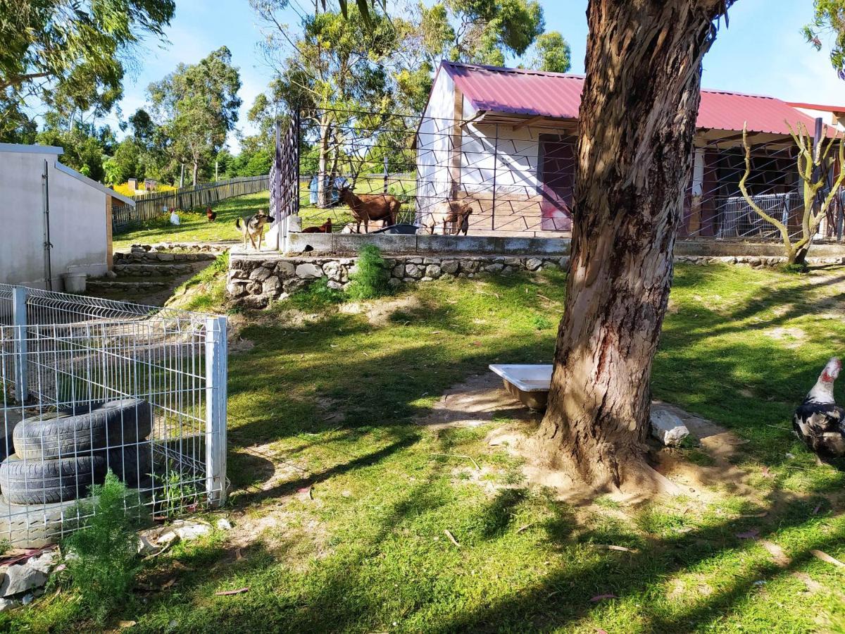 Herdade Da Hera Azambuja Exterior foto
