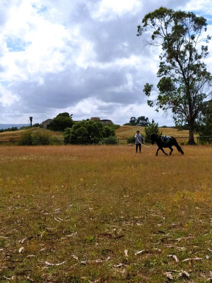 Herdade Da Hera Azambuja Exterior foto