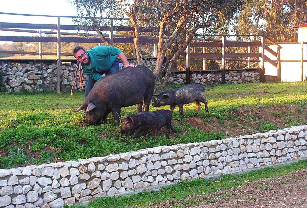 Herdade Da Hera Azambuja Exterior foto